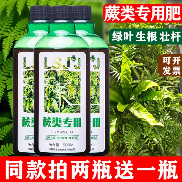 蕨类专用肥营养液桫椤肥料铁线蕨有机肥金丝蕨营养液毛蕨鹿角蕨类