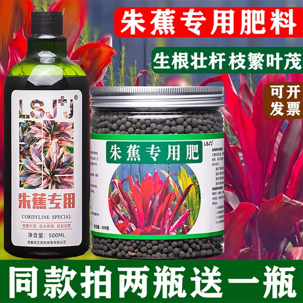 朱蕉肥料红叶朱蕉朱竹专用肥家用室内阳台盆栽植物有机复合颗粒肥