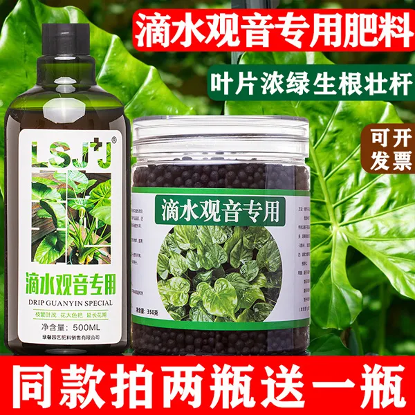 滴水观音专用肥滴水莲肥料佛手莲营养液有机肥海芋颗粒肥缓释肥