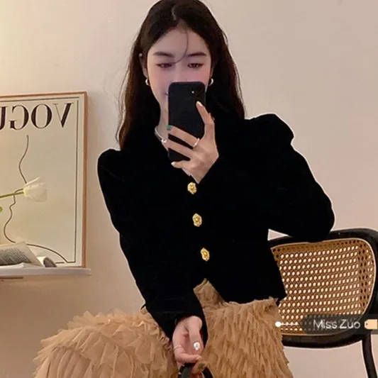 法式衬衫女早秋高级设计感小众金丝绒上衣长袖V领泡泡袖衬衣短款