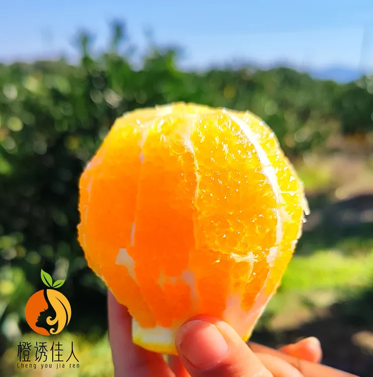 橙诱佳人正宗赣南脐橙产地直供橙子香甜水果爆汁赣州橙子正宗脐橙