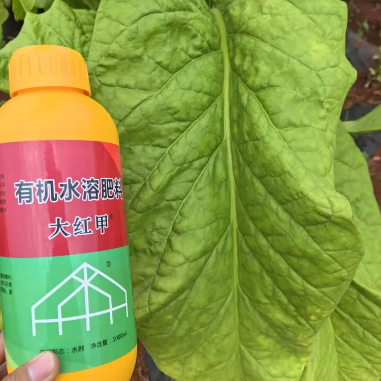 正品大红甲1升增厚叶片防憨烟黑爆烟分层落黄自然成熟