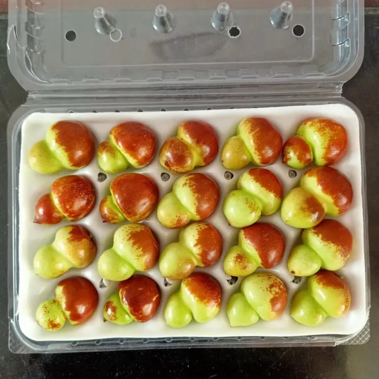 福禄枣（葫芦枣）外型纯天然无人工干预皮薄核小佳节送礼单果鲜枣