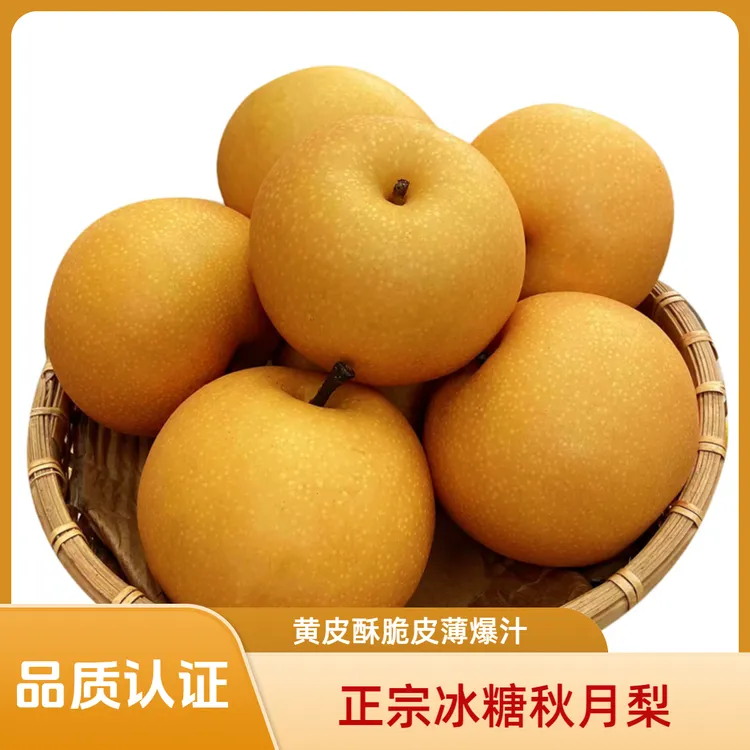 【河北秋月梨】肉质鲜嫩 口感绵甜 汁多无渣 二级瑕疵低价处理