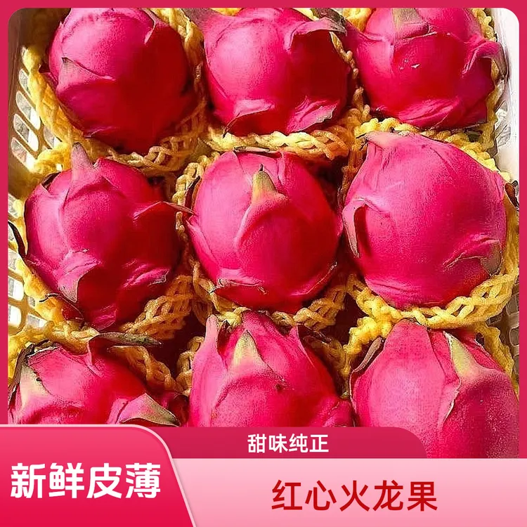 H广西红心火龙果金都一号 2/3/5斤 现摘新鲜皮薄细腻纯甜 推荐
