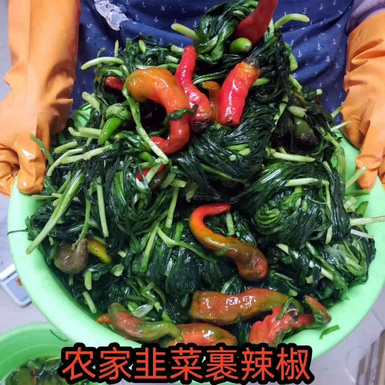 农家手工腌制韭菜裹辣椒下饭菜咸菜盐韭菜新鲜下饭菜500克包邮