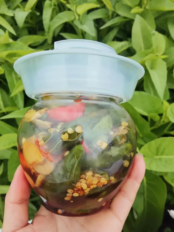 【脆皮泡椒450g瓶装】手工腌辣椒酸辣甜口开胃下饭脆爽特辣450g/瓶