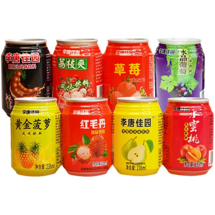果味饮料整箱24瓶装多口味网红饮料解渴好喝的罐装酸角汁饮品大全