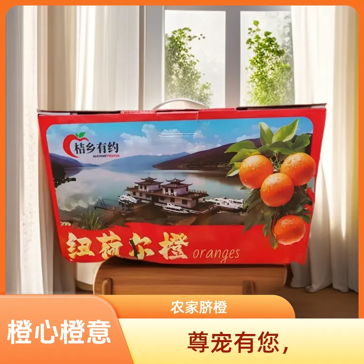 （顺丰包邮）高端精品礼品农家脐橙纽荷尔橙石门山橙水果9-10斤包邮