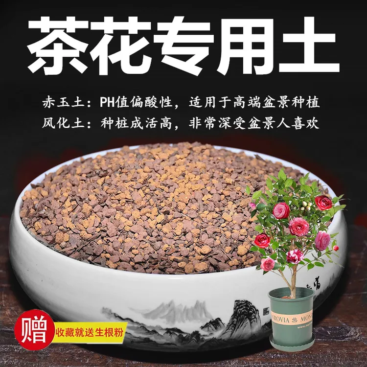 茶花专用土赤玉土风化土颗粒土酸性土红土营养粒盆景专用营养土