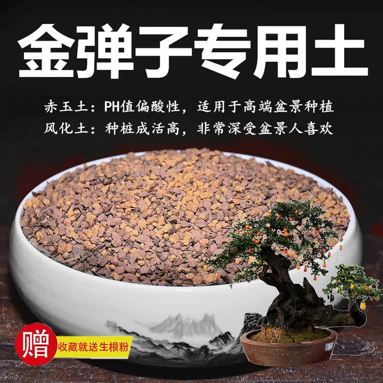 金弹子专用土赤玉土风化土颗粒土酸性土红土盆景专用营养土