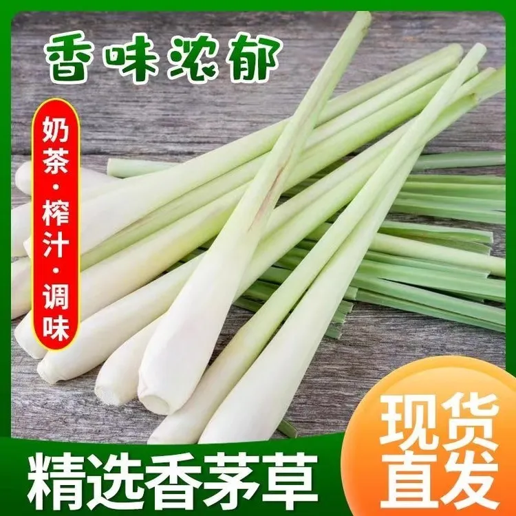 现挖 广西新鲜香茅草柠檬香草泰国冬阴功汤料料理香料奶茶店调料