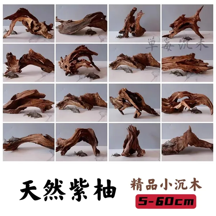 淡水笔记30CM小缸沉木乌龟嗮台鱼缸装饰造景南美缸紫柚木拱桥树桩