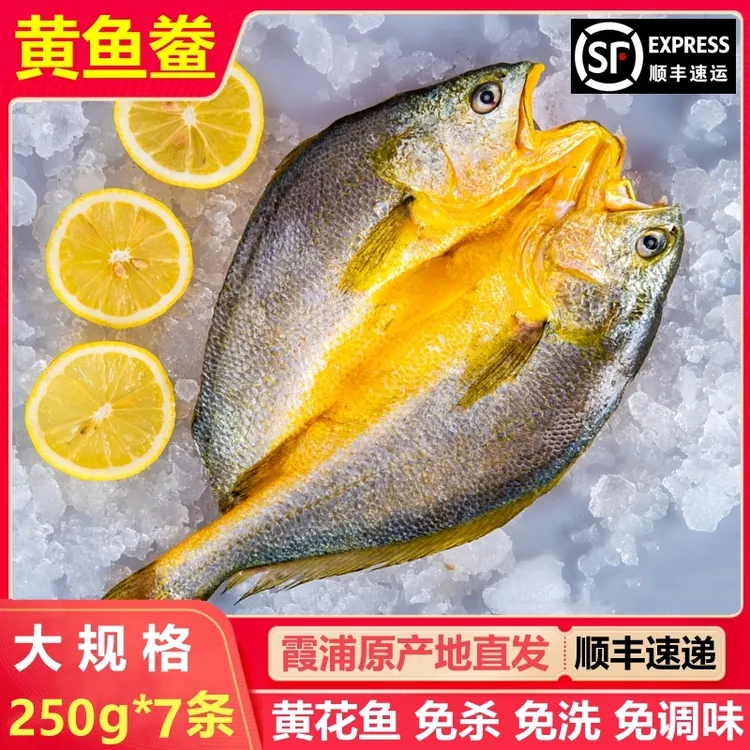 【250gX7条】宁德霞浦黄鱼鲞 咸香大黄鱼黄花鱼 免杀免洗250g/条