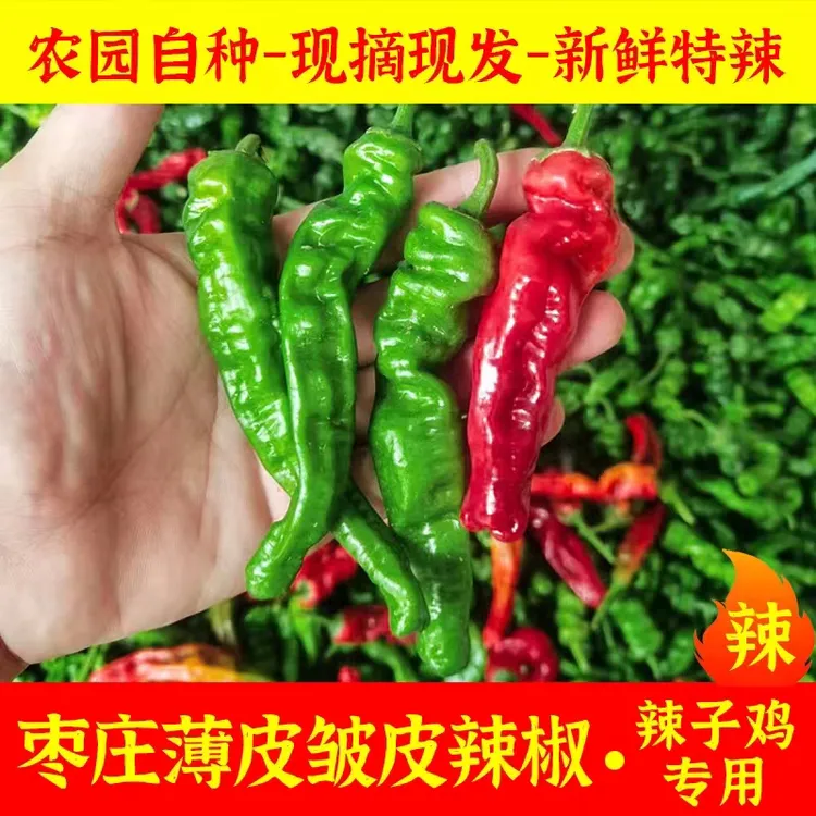 正宗枣庄农家现摘薄皮新鲜皱皮超辣螺丝青辣椒特辣超辣辣子鸡辣椒