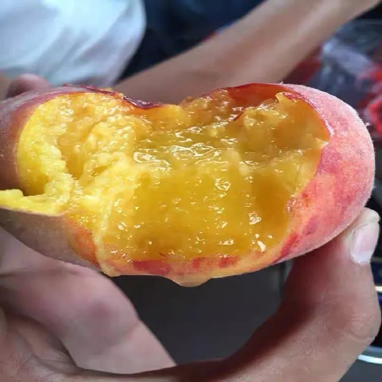 【顺丰空运】奶油蟠桃，新疆直发！包邮包损，好吃蟠桃