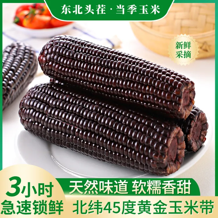 【衣哥代卖】东北当季新玉米头茬蓝莓糯黑玉米8支装（单支240-290g）