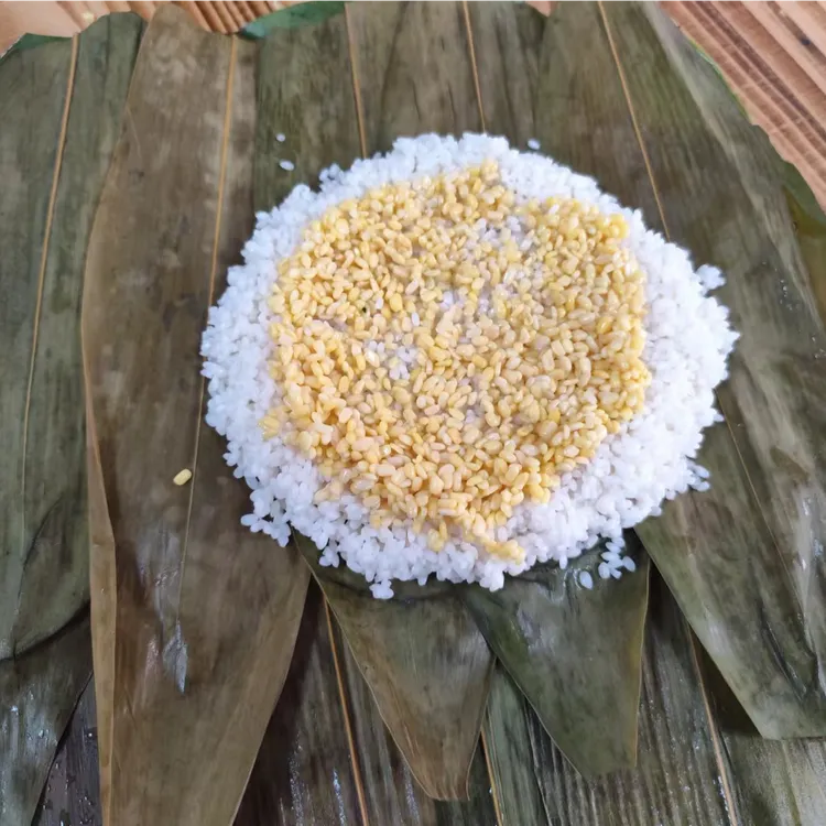 广西宁明梅姐大肉粽绿豆板栗肉粽农家手工真空装鲜肉粽2.5斤