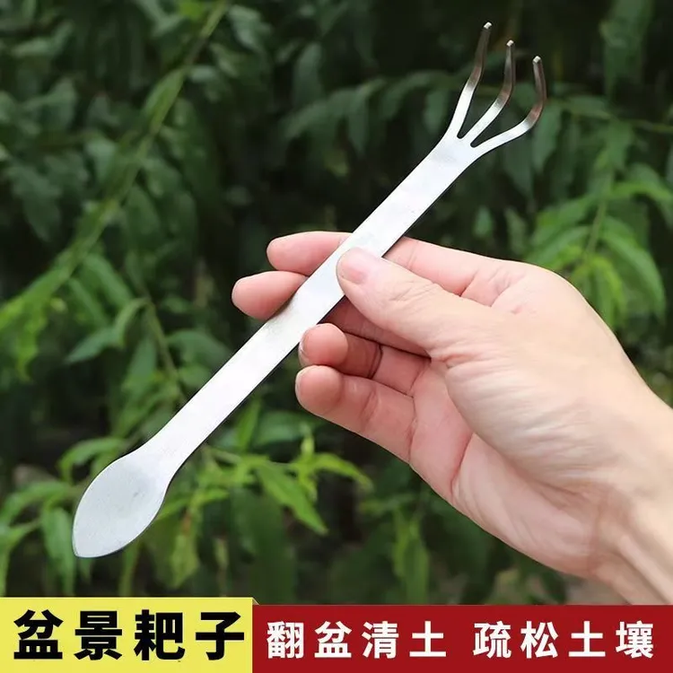 园艺盆景两用耙子撬土压士盆栽多肉植物园艺工具
