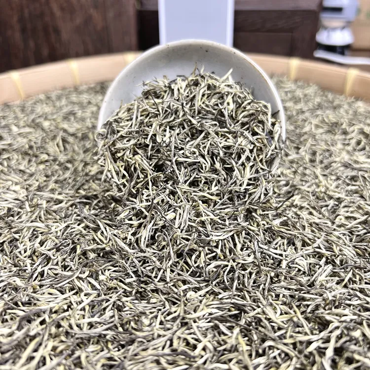 小香针广西横县茉莉花茶花香甘甜茉莉九窨茉莉茶叶耐泡浓郁