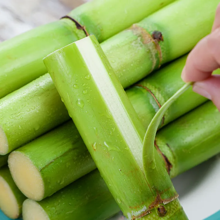 陶山青皮甘蔗新鲜现砍当季水果绿皮果蔗3-5斤冷链发货