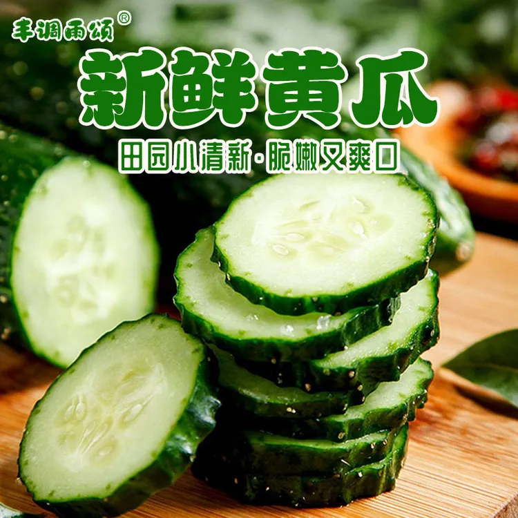 山西带刺黄瓜新鲜现摘生吃榨汁绿色蔬菜当季自然熟即食农家自种