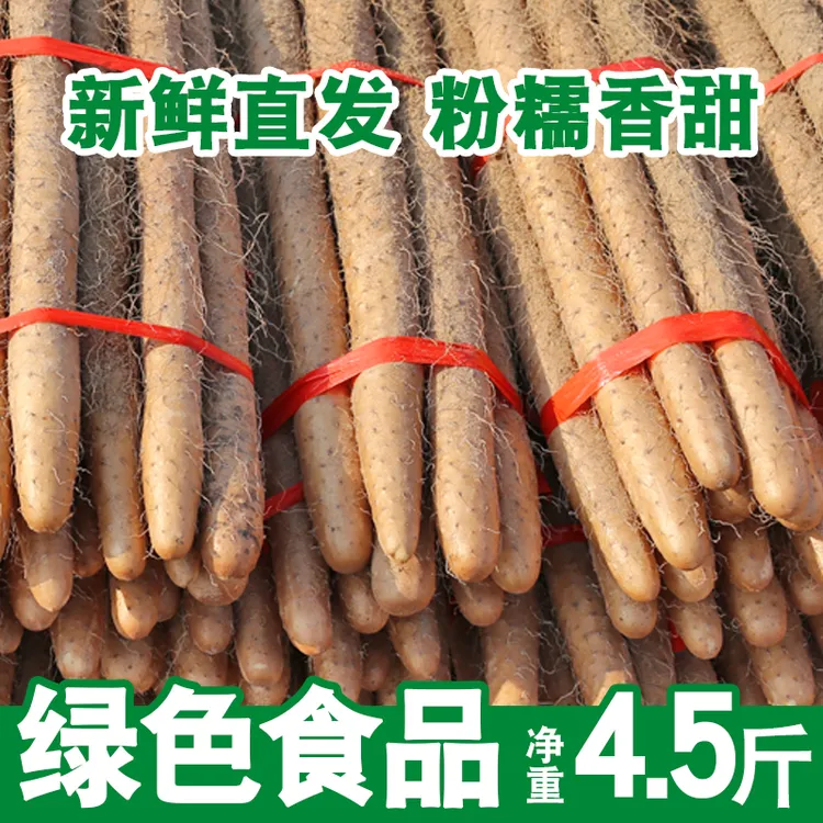 新鲜现发河北蠡县小白嘴山药净重4.5斤40cm+软糯