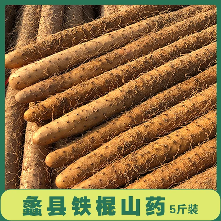 【蠡人蠡品】蠡县铁棍山药5斤装/箱