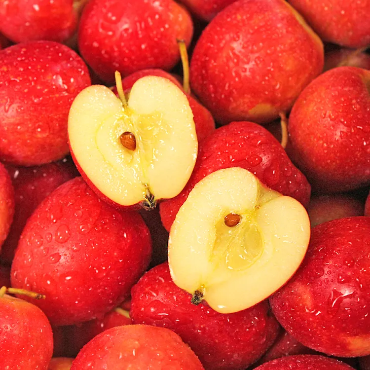东北鸡心果酸甜脆可口现摘现发新鲜水果海棠果包邮