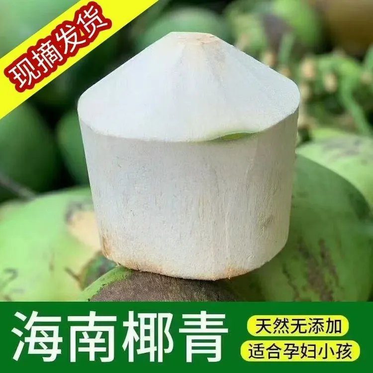 海南新鲜野生椰青精选大果9个装（送吸管+开椰器）
