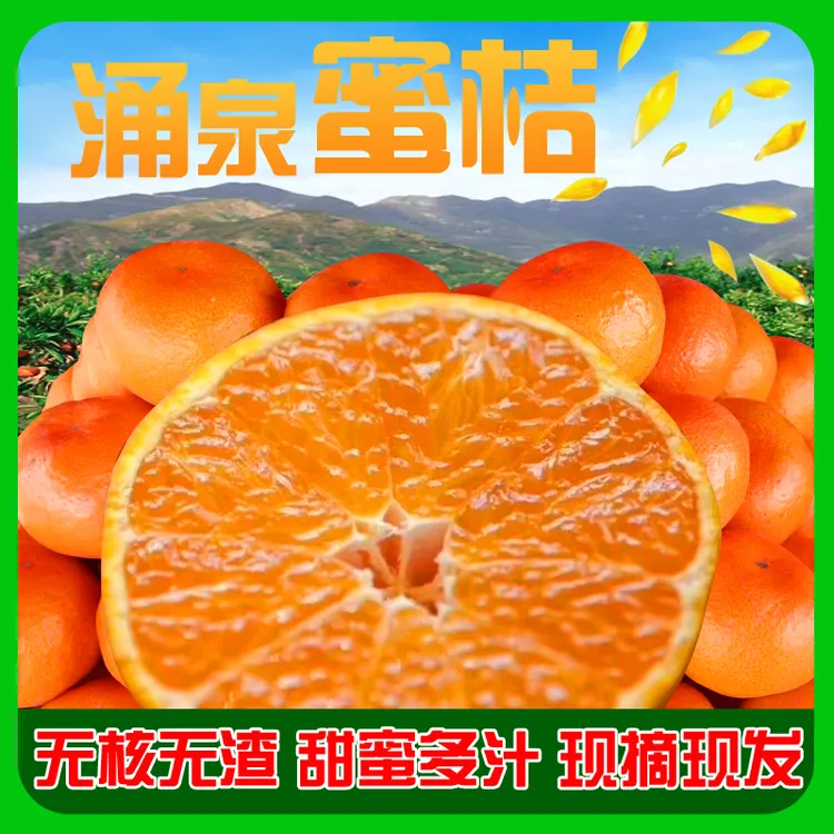 浙江台州高山涌泉蜜桔临海蜜橘新鲜水果当季蜜橘甜蜜蜜桔