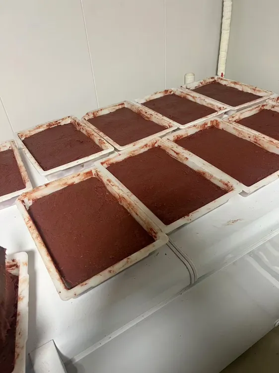 七彩神仙鱼饲料牛心汉堡鱼食手工自制虾肉牛心增体适口