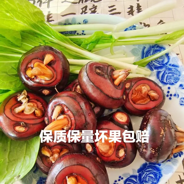 顺丰包邮【荸荠马蹄】安徽产地直销优质新鲜现挖水果地栗饺子火锅料