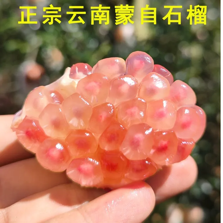 云南蒙自甜石榴9斤包邮正宗老树薄皮水晶绿籽甜石榴