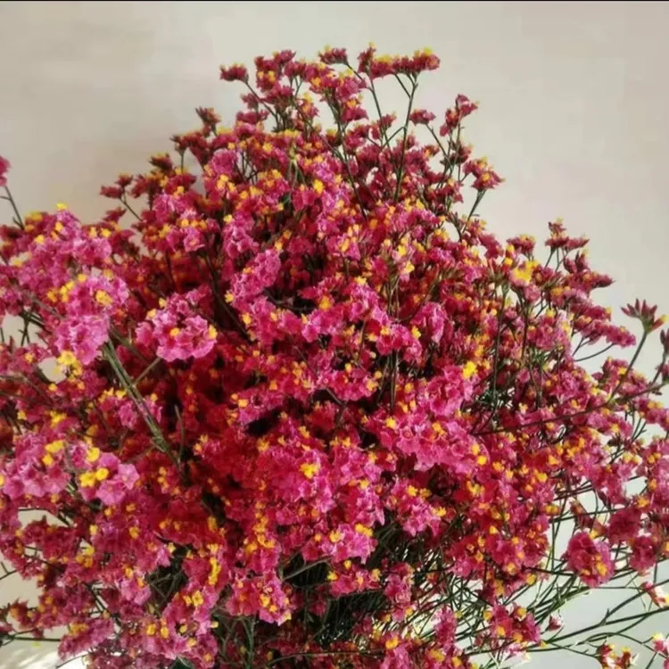 云南基地天然红水晶花束花卉植物风干摆件生日鲜花干花