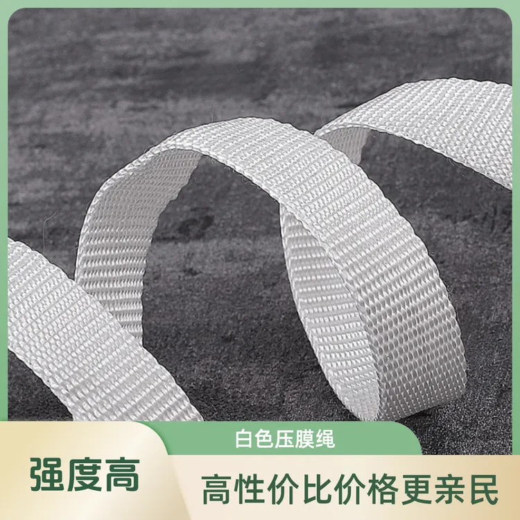 白色加厚养殖场大棚扁带绑带高强度防风绳子耐高温拉绳大棚压膜绳