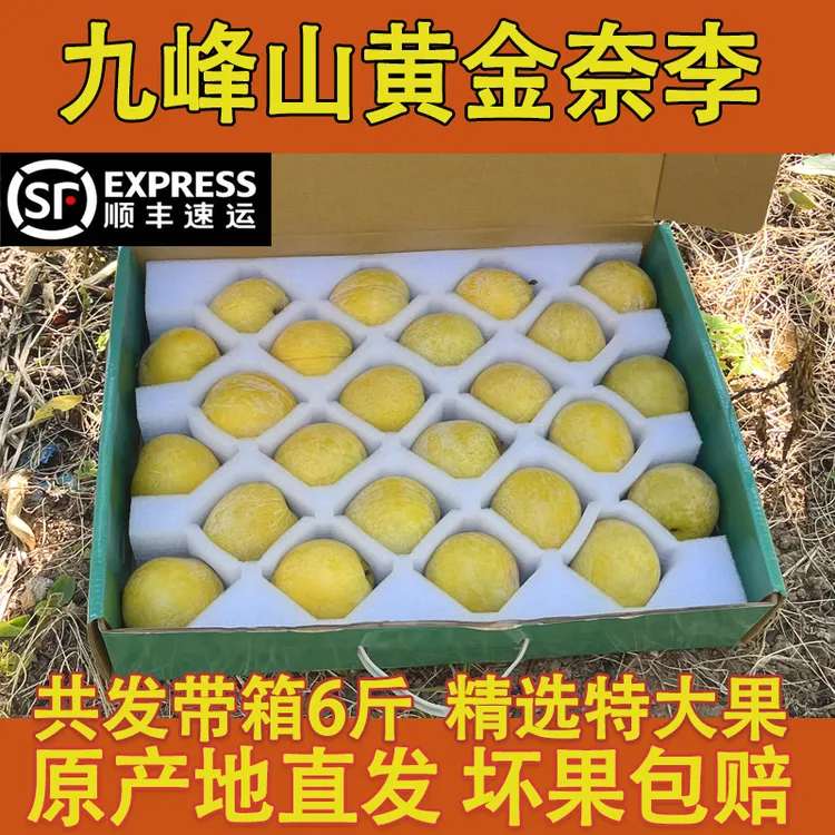 礼盒装 精选特大果九峰山黄金奈李奈李新鲜现摘冰糖蜂蜜李脱骨李