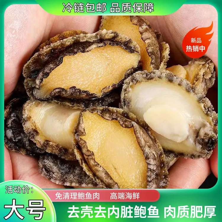 【鲜冻】大号5-6厘米长新鲜鲍鱼肉精选7头鲍鱼现剥九孔鲍冷链包邮商品图