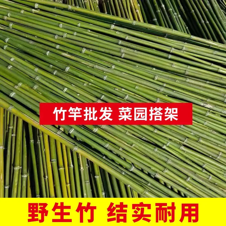 专用菜园新鲜野生绿竹竿菜园搭架豆角瓜果黄瓜爬藤架园艺篱笆围栏