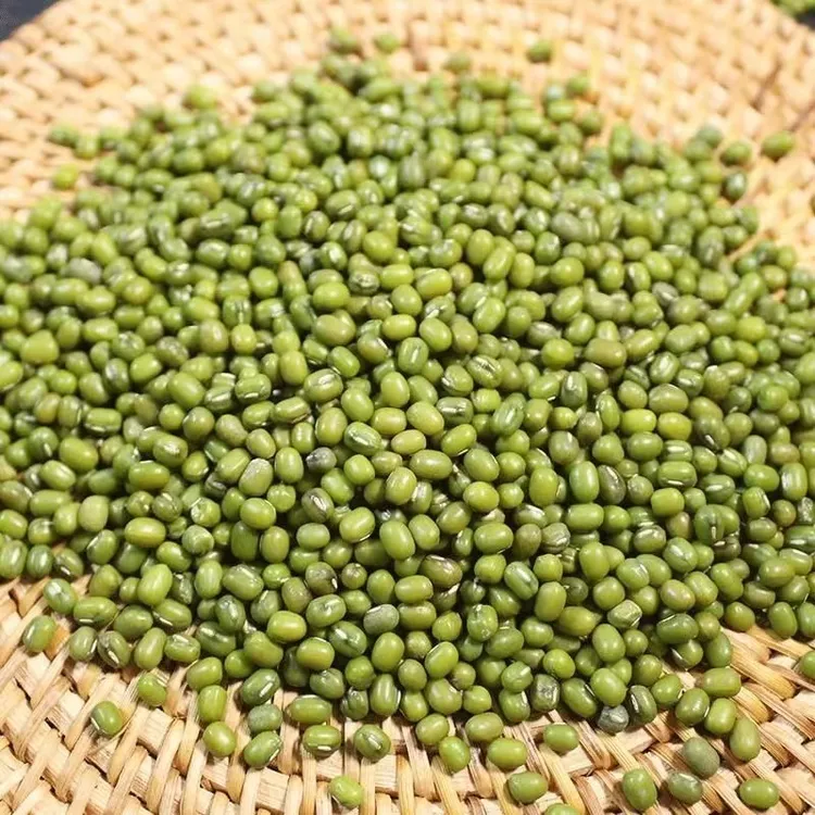 贵州精品绿豆农家小绿豆去皮夏日绿豆汤材料新鲜豆芽笨绿豆营养