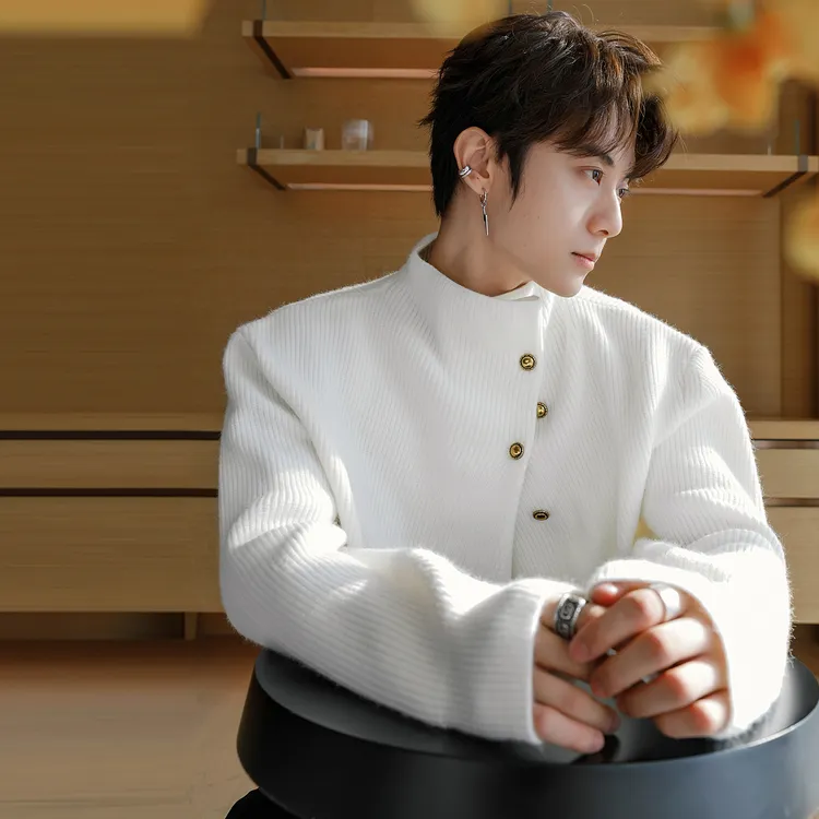 CHICERRO西西里男装新中式毛衣高级感设计感半高领男生针织衫秋冬