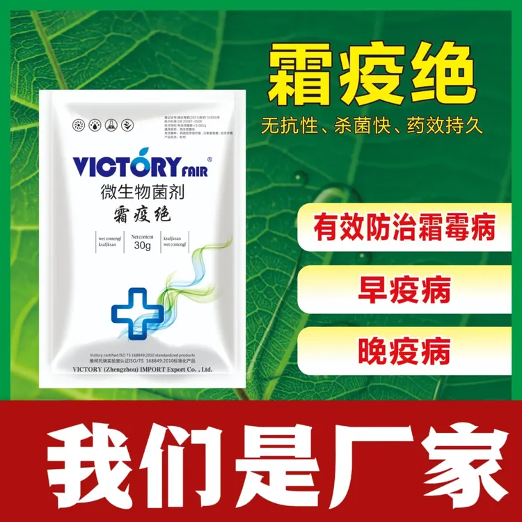 霜疫绝微生物菌剂 霜霉病早晚疫病无抗性持久有效一袋一壶水粉剂