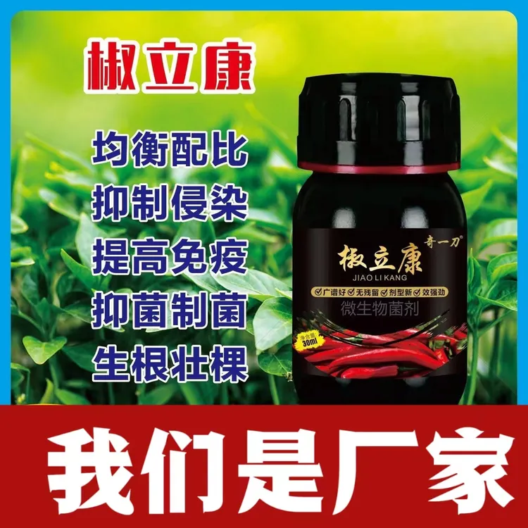 椒立康辣椒专用真细病三杀微生物菌肥根腐青枯病毒快速渗透灰霉病