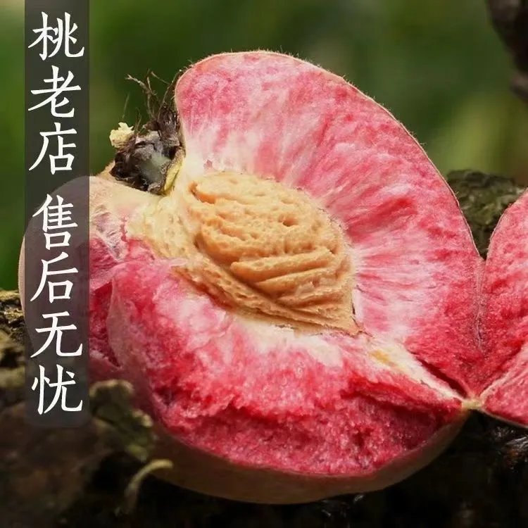 血桃新鲜正宗朱砂红肉超甜桃子胭脂红时令水果孕妇小孩老人都爱吃