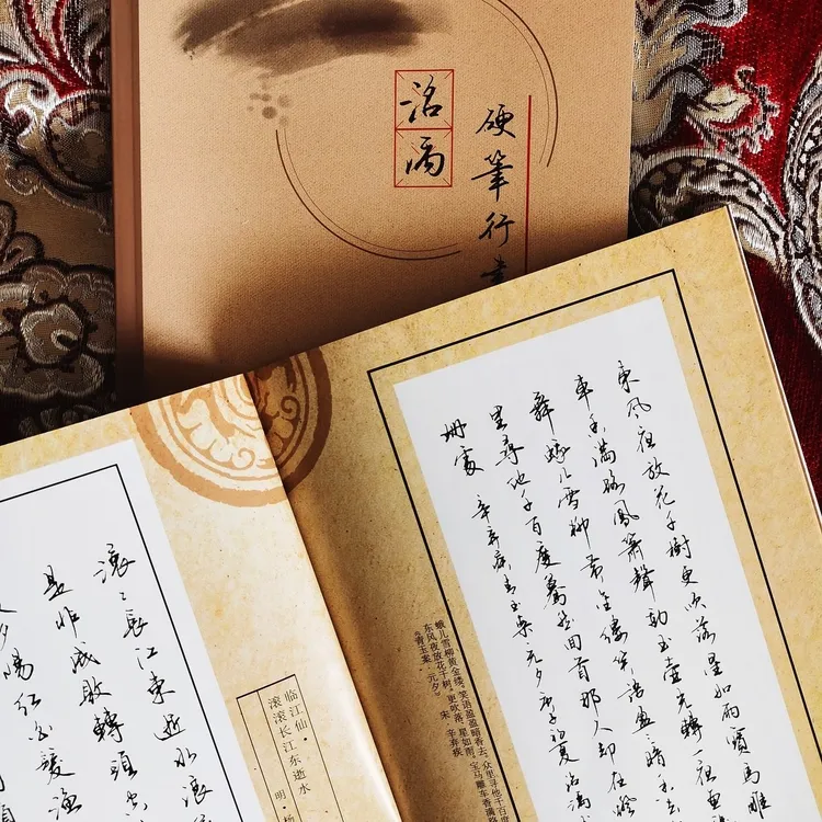 洺渪字帖临摹作品集诗词美文500常用字练字成人学生练字行书行楷