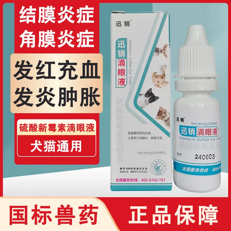 兽药硫酸新霉素滴眼液猫咪眼药水狗狗猫用眼睛发炎结膜炎宠物用