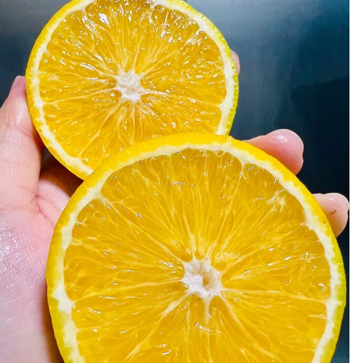 云南褚橙之乡 哀牢山老树冰糖橙 黄绿皮 清甜多汁 申通包邮