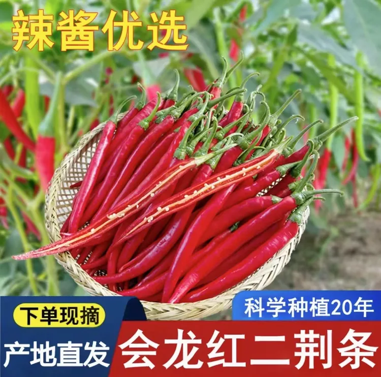 现摘红线椒红二荆条辣椒新鲜蔬菜青红泡椒剁椒1斤-5斤鲜红饱满
