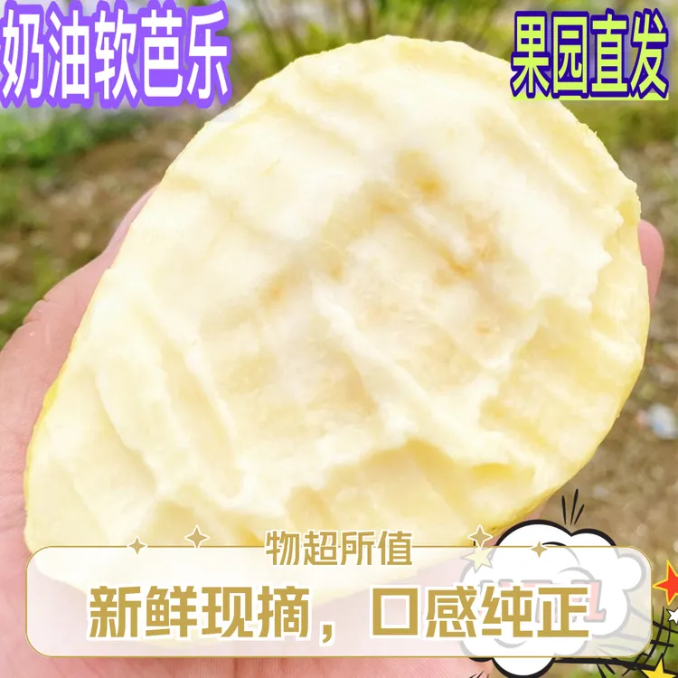 【认准广西】番石榴芭乐软番石榴应季当季新鲜水果浓香芭乐果
