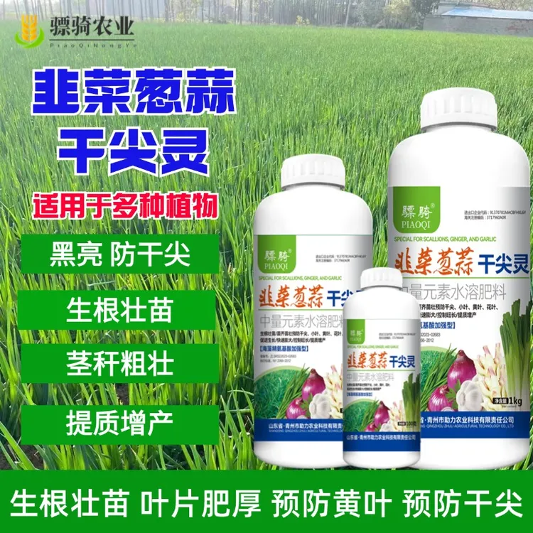 韭葱蒜干尖灵叶面肥葱姜蒜黄叶干尖专用氨基酸叶面肥壮根增产